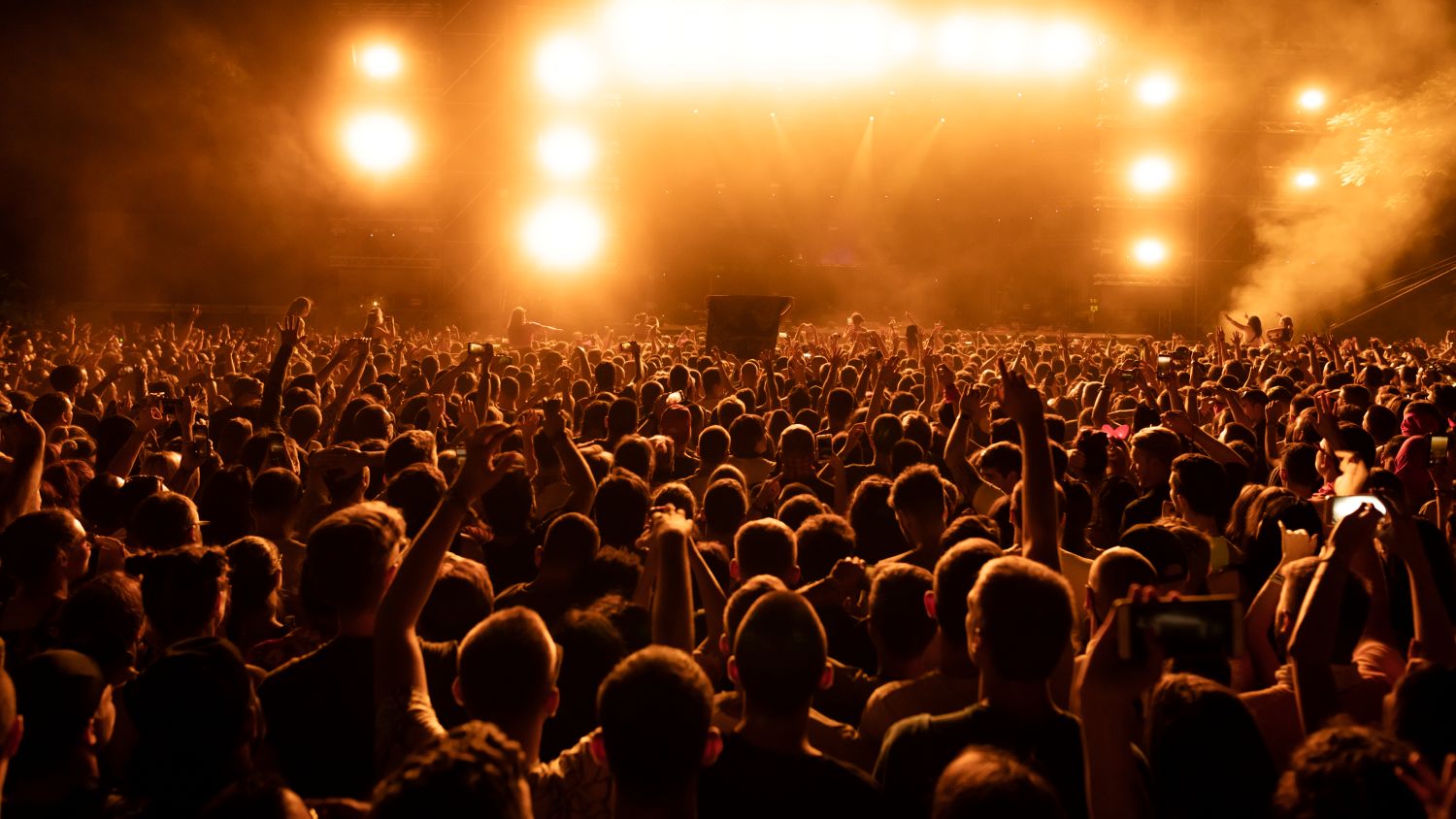 Konser Güvenliği Hizmeti